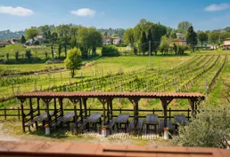 Vista sulla campagna di Cascina Roveri 