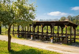 Pergolato di Cascina Roveri 