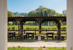 Cascina Roveri e gli spazi aperti