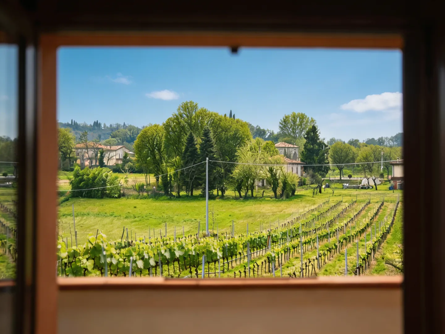Vista sulle vigne dalla terrazza di Cascina Roveri